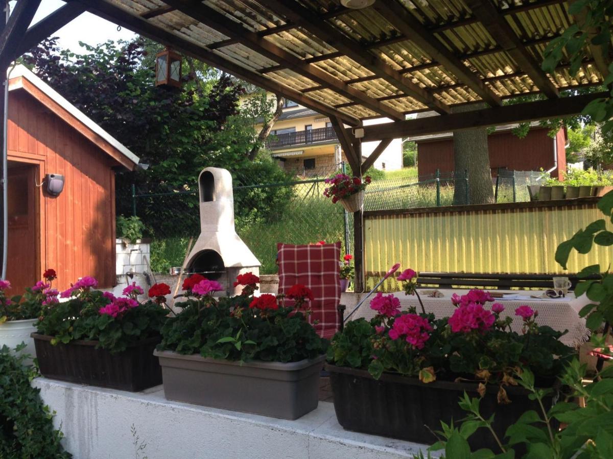 Am Balkon Des Erzgebirges Apartment Bernsbach ภายนอก รูปภาพ