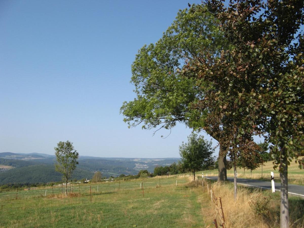 Am Balkon Des Erzgebirges Apartment Bernsbach ภายนอก รูปภาพ