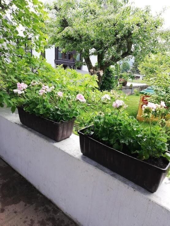 Am Balkon Des Erzgebirges Apartment Bernsbach ภายนอก รูปภาพ